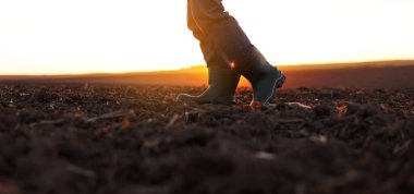 Tarım. Lastik botlu iş adamı tarlada yürüyor. Agronomist güneş doğarken verimli toprağı kontrol ediyor ve analiz ediyor. Tarım sektörü