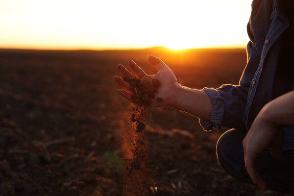 Male farmer's hand holds a handful of dry ground and checks soil fertility and quality before sowing crops on plowed field at sunset. Cultivated land. Concept of organic agriculture and agribusiness.