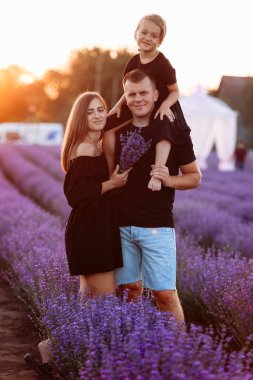 Young mother and little daughter sitting on fathers shoulders are walking in lavender field. Dad, mom and child hugging and looking at camera on summer day. Happy friendly family day. Children day.