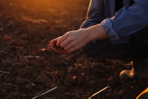 男农民的手拿着一把干地 在日落时分播种庄稼前检查土壤肥力和质量 有机农业和农产企业的概念 — 图库照片