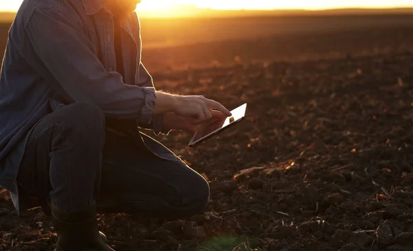 男农民触摸土壤 在日落时分耕作农田之前 使用数字平板对耕地进行检查和测试 智能耕作技术和有机农业 — 图库照片