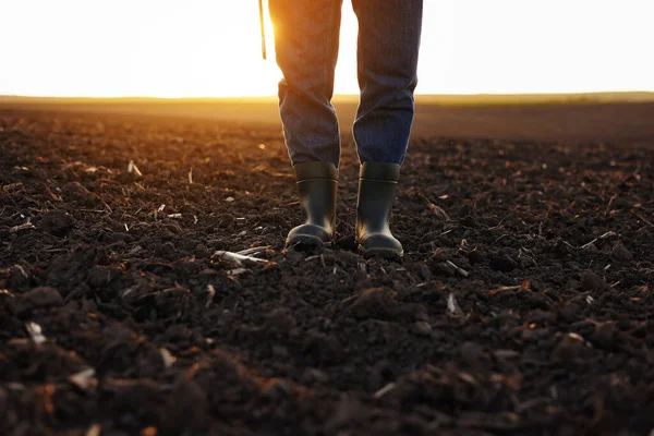 身穿橡胶靴的商人农民穿着数字平板电脑沿着犁地走着 农艺学家在日出时对肥沃的土地进行检查和分析 Agribusiness — 图库照片