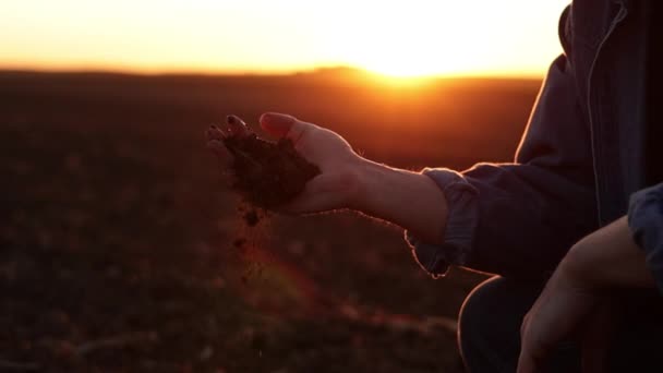 Męscy Rolnicy Trzymają Garść Suchej Ziemi Sprawdzają Żyzność Jakość Gleby — Wideo stockowe