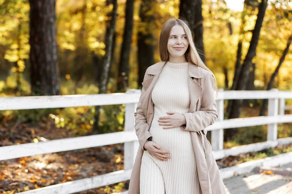 Photo Pregnant Woman Holds Hands Belly Autumn Park Young Woman — Fotografie, imagine de stoc