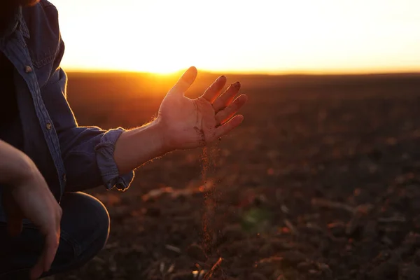 男农民的手拿着一把干地 在日落时分播种庄稼前检查土壤肥力和质量 有机农业和农产企业的概念 — 图库照片