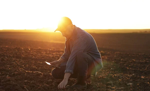 农艺学家在耕地耕作和日落时在数字平板电脑上打字之前 先接触土壤 然后对耕地进行检查和测试 智能耕作技术和有机农业 — 图库照片