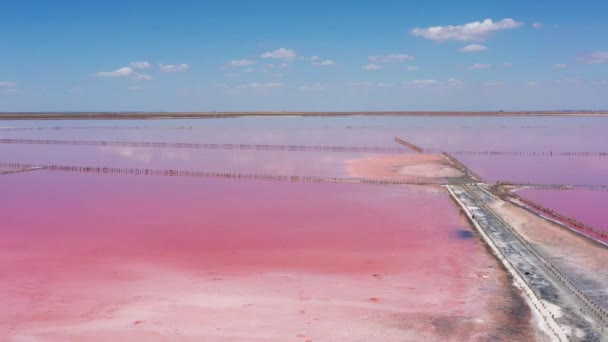 Atas Danau Garam Merah Muda Dengan Microalgae Dunaliella Salina Terkenal — Stok Video