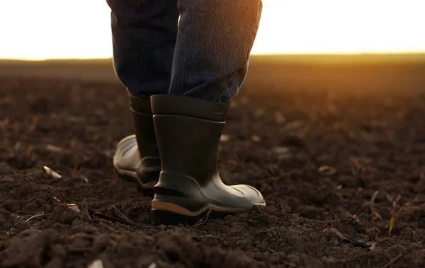 stock image Agriculture. Cropped shot of back view businessman farmer in rubber boots walks along plowed field. Agronomist checking and analyses fertile soil on sunrise. Agribusiness