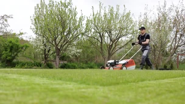 Jardinero Profesional Ropa Protectora Está Cortando Césped Hierba Verde Utilizando — Vídeos de Stock