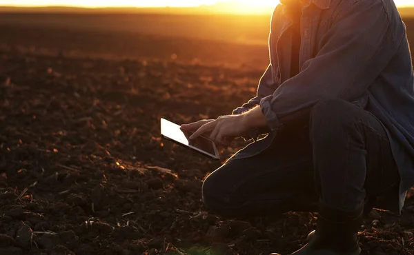 Мужчина Фермер Касается Почвы Использует Цифровую Табличку Исследования Тестирования Обрабатываемых — стоковое фото