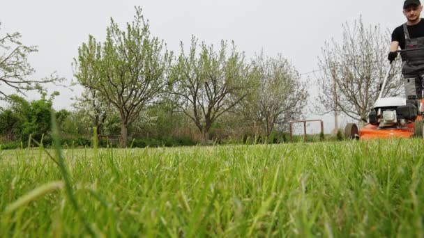 Jardinero Profesional Ropa Protectora Está Cortando Césped Hierba Verde Utilizando — Vídeos de Stock
