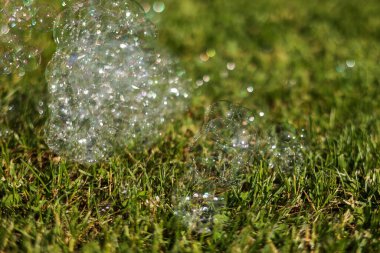 Yaz mevsiminde renkli parlak sabun köpükleri. Güneş ışığında doğal yeşil çimen arka planı. Bahar ya da yaz tatili sezonu. Mutlu çocukluğun sembolü, saflık, ekoloji