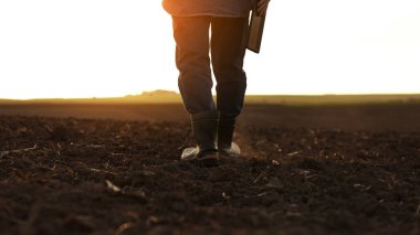 Tarım. Lastik çizmeli bir iş adamı dijital tabletle tarlada yürüyor. Agronomist güneş doğarken verimli toprağı kontrol ediyor ve analiz ediyor. Tarım sektörü