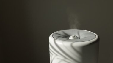 Yayıcı, hava temizleyici ya da nemlendirici, gölgeli ev bitkisi olan odada gerekli yağ ile güçlü bir soğuk buhar yayar. Aroma yağı buhar terapisi. Vücut sağlığı tedavisi. Spa ve sağlık.