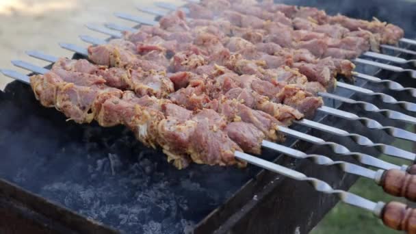Cozinha Kebab Grelhada Espetos Metálicos Grelha Carne Marinada Assada Temperos — Vídeo de Stock