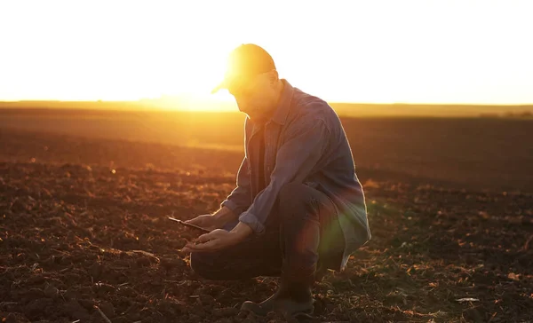 농학자들은 농지에 뿌리고 디지털 타블렛을 입력하기 검사하고 실험하는 토양에 댑니다 — 스톡 사진