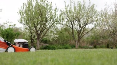Koruyucu giyimli profesyonel bahçıvan arka bahçedeki modern benzin kablosuz çim biçme makinesini kullanarak yeşil çimen biçiyor. Mevsimlik peyzaj tasarımı. Arkaplanda çiçek açan ağaçlar.