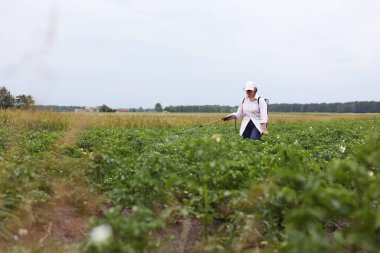 Sis spreyli kadın çiftçi organik patates çiftliğini böcek ve mantar enfeksiyonundan tedavi ediyor. Tarımda kimyasallar kullanıyor. Tarım ve tarım sektörü. Hasat. Koruma ve bakım.