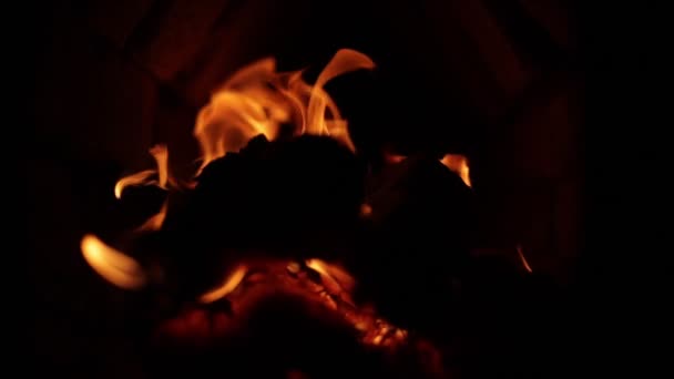 Langzame Beweging Van Heldere Tongen Vuur Sluiten Vuurvlam Concept Vuur — Stockvideo
