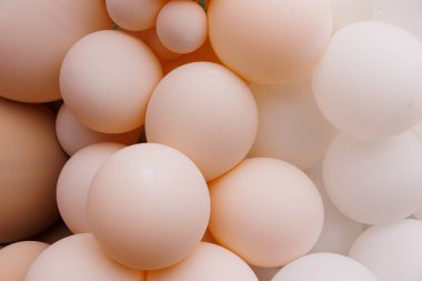 Farklı boylarda ve renklerde çeşitli hava balonları yakın çekim. Bebek partisi, cinsiyet ya da doğum günü partisi, düğün ve vaftiz töreni dekorasyonu. Şenlikli fotoğraf bölgesi kemerinin detayları. Tarz arkaplanı.