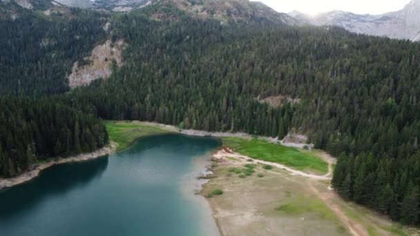 Crno Jezero Veya Kara Göl Çam Ormanı Karadağ Zabljak Kentindeki — Stok video