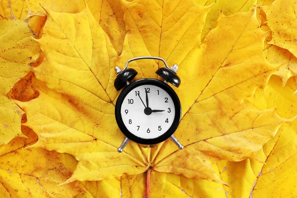 学校に戻る 鮮やかな黄色のカエデの紅葉の古典的な黒と白の目覚まし時計 季節の変化 夏時間の節約の概念 さようなら秋 割引や販売 自然背景 — ストック写真