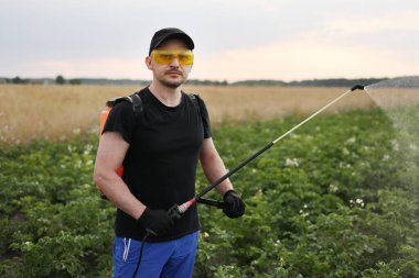 Koruyucu gözlüklü ve eldivenli çiftçi patatesleri haşerelerden, kolorado böceğinden ve mantar enfeksiyonundan tedavi ediyor ve kameralara bakıyor. Hasat işlemi. Koruma ve bakım hasadı.