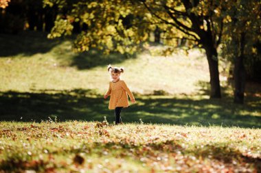 Çocuk günü. Komik saçlı, sarı çiçekli iki atkuyruklu neşeli kız çocuğu. Eğleniyor, gülümsüyor, güneşli sonbahar parkında yürümekten hoşlanıyor. Çocukluk hayali konsepti.
