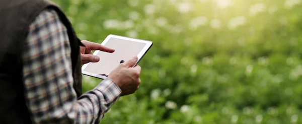 Beskuren Skott Jordbrukarens Händer Hålla Och Använda Digital Tablett För Stockbild
