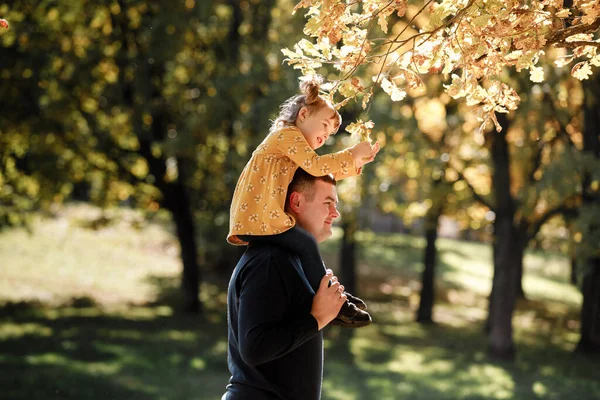 Happy dad holds little daughter on shoulders walk outdoors at autumn park, touch yellow leaves on tree. Single daddy with child relaxes and spends time together. Family, fathers day and childhood.
