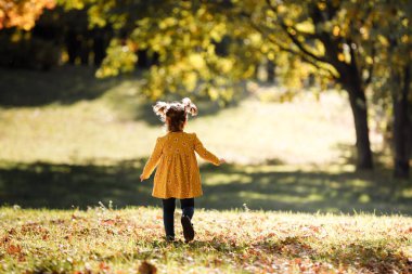 Çocuk günü. Komik saçlı, sarı çiçekli iki atkuyruklu neşeli kız çocuğu. Eğleniyor, gülümsüyor, güneşli sonbahar parkında yürümekten hoşlanıyor. Çocukluk hayali konsepti.