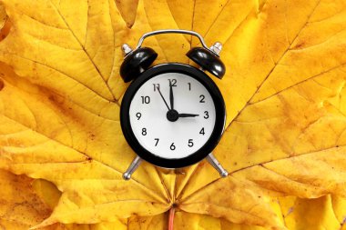 Okula dönelim. Parlak sarı akçaağaç sonbahar yaprakları üzerinde klasik siyah beyaz alarm saati. Değişim mevsimi kavramı, gün ışığı tasarrufu. Güle güle sonbahar. İndirim ve satış. Doğal arkaplan.
