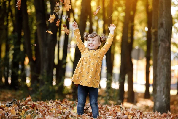 子どもの日 幸せな愛らしい女の子3 4年楽しんで 落ち葉で遊んで 笑顔で 屋外で素敵で晴れた秋の日を楽しんでいます 幸せな子供時代の夢と自由の概念 ストック写真