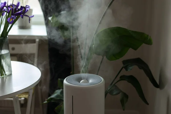 Difusor Ultrasónico Purificador Aire Humidificador Libera Corriente Vapor Frío Habitación Imagen De Stock