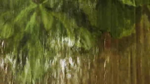 Superficie Cortina Agua Transparente Con Vegetación Tropical Verde Sobre Fondo — Vídeos de Stock