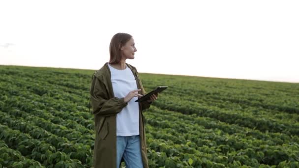 Slimme Landbouw Soja Technologie Vrouwelijke Boer Werkt Met Digitale Tablet — Stockvideo