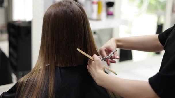 Nierozpoznawalny Fryzjer Cięcia Włosów Klienta Kobieta Profesjonalnymi Nożyczkami Fryzjerskimi Grzebień — Wideo stockowe