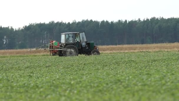 Farming Tractor Spraying Buckwheat Field Sprayer Herbicides Pesticides Sunset Farm — Wideo stockowe