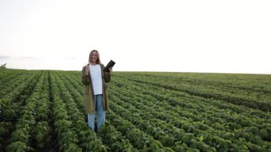 Akıllı tarım soya fasulyesi teknolojisi. Organik soya tarlasında mutlu bir kadın çiftçi yumruğunu kaldırdı. Başarımı kutladım, kazandım ve gol attım. Dijital tablet tutuyorum. Tarım sektörü kavramı
