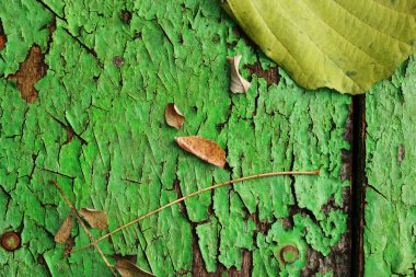 Sonbahar sarısı dökülen yapraklar ve kırık yeşil boyalı tahtaların eski ahşap arka plan dokusunda dallar. Eski püskü ahşap paneller, çerçeve, düz döşeme. Sonbahar mevsimi konsepti.