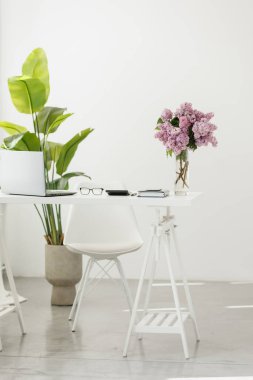 İş konsepti. Masası, bilgisayarı, mali belgeleri, hesap makinesi, gözlüğü, akıllı telefonu, kalemi ve büyük yeşil evbitkisi olan bir muhasebeci. Duvardaki alanı kopyala.