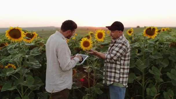 デジタルタブレットを搭載した2人のアグロニストが植物の日光を検査し チェックします 農業チーム パートナー農家 品質のエコ収穫の結果を分析し 握手し ビジネス取引をする — ストック動画