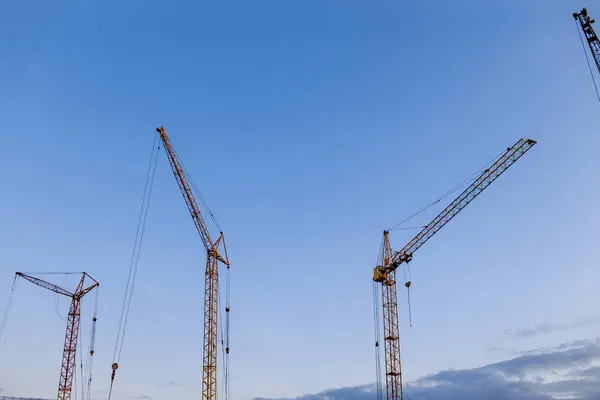 Construction site. Many tower cranes on dusk blue sky background. Construction multi-storey residential and commercial real estate. Industry new building business. Mortgage concept.