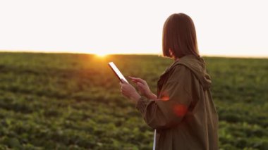 Akıllı tarım soya fasulyesi teknolojisi. Kadın çiftçi dijital tabletle çalışıyor, organik soya yeşili bitkilerle tarlalarda yürüyor. Tarım sektörü ve tarım modern konsepti. Çiftlikte tarımcı.