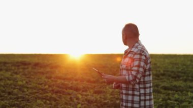 Agronomist çiftçi tarladaki büyüyen soya bitkilerini analiz etmek ve kontrol etmek için dijital tablet kullanır. Akıllı tarım teknolojisi ve organik tarım konsepti. Modern soya tarım sektörü.