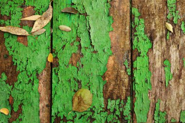 Kırık yeşil boyalı tahtaların eski ahşap arka plan dokusu. Masa. Güz sarı kahverengi yapraklar döküntü grunge ahşap paneller, çerçeve, düz yatıyordu