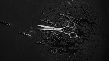 Siyah zemin üzerinde profesyonel çelik berber makası ve su damlaları hareket ediyor. Kuaför aleti. İnce makas makası. Saç kesim aksesuarları, kuaför salonu, berber dükkanı konsepti. Düz yatıyordu.