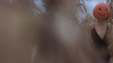 Korkunç oyulmuş Cadılar Bayramı balkabağı kafalı ve uzun siyah elbiseli kadın sonbaharda kuru mısır tarlasında duruyor, kamera hareket ediyor. Jack Lantern. İkram için numara. Mistik kutlama partisi için ürkütücü karnaval kostümü