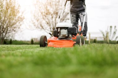 Korunaklı giysiler içindeki tanınmayan profesyonel bahçıvan arka bahçesinde modern benzin kablosuz çim biçme makinesi kullanarak yeşil çimen biçiyor. Mevsimlik peyzaj tasarımı. Bahçe işleri araçları.