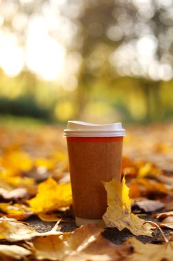 Eko-Sıfır atık kağıt bardak, güneşli sonbahar parkında sıcak içecek, kahve ya da çay ile birlikte alınır. Arka planda renkli yapraklar dökülüyor. Soğuk havada mevsimlik sıcak içecekler.